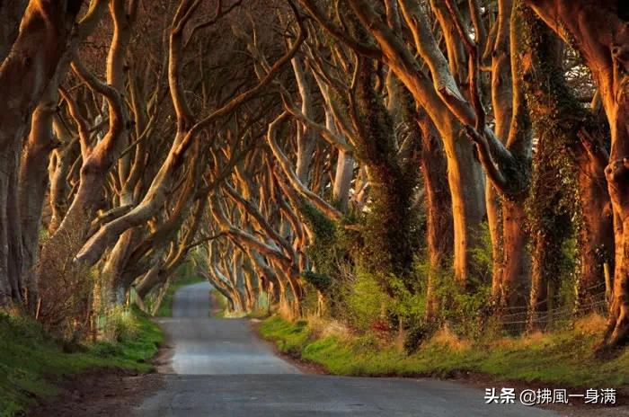 10条风景如画的街道，你应该在死前走过