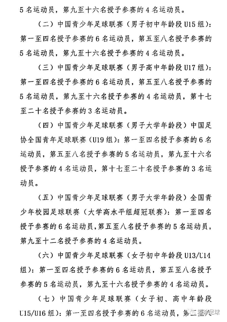 全国青少年足球联赛全国总决赛,中国青少年赛事等级