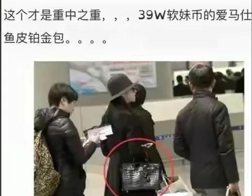 明星爱马仕包包谁最多,爱马仕包奢侈品