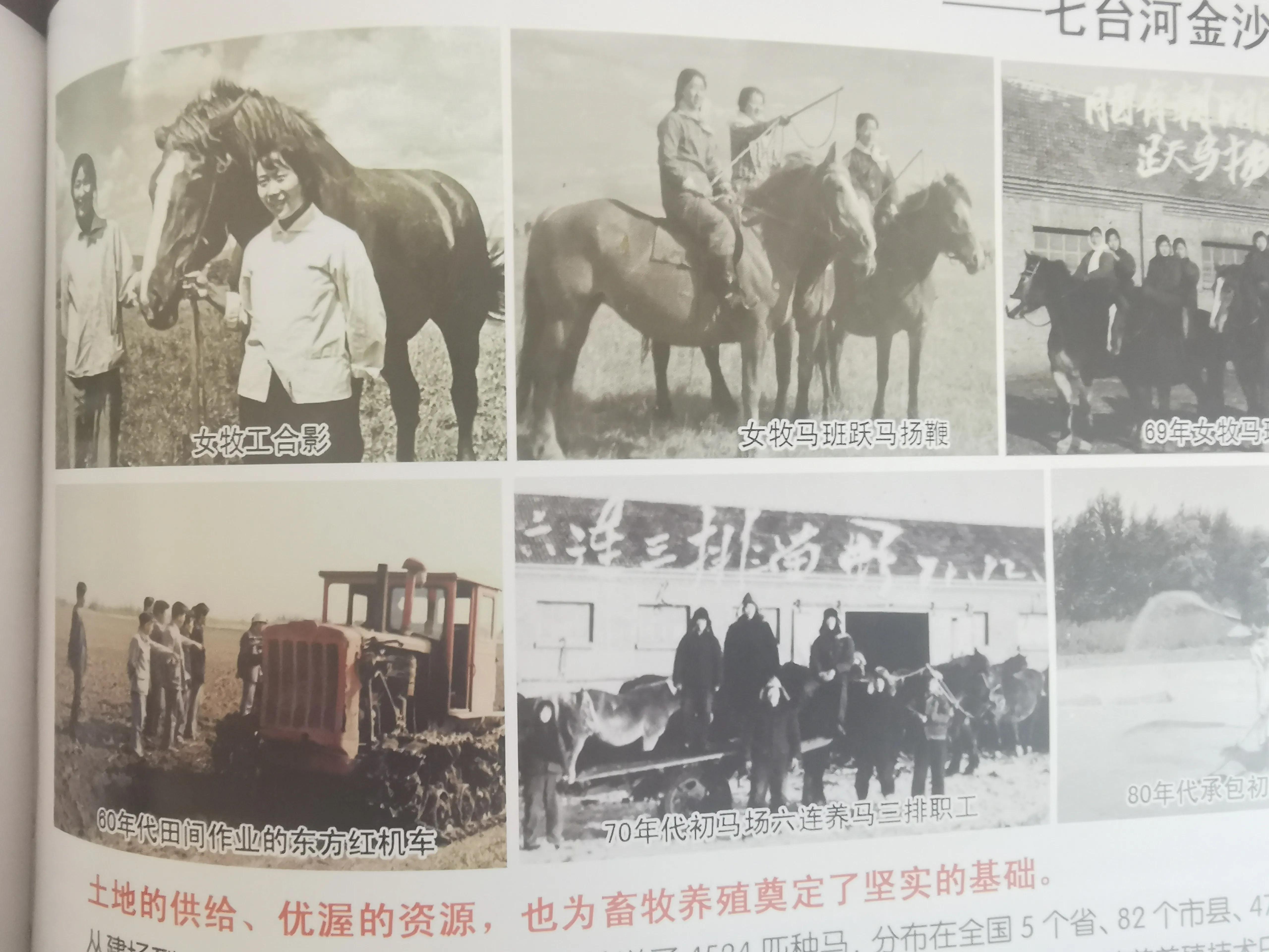 军马场历史,勃利的历史简介