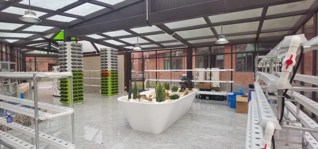 上海市松江区佘山外国语实验学校,佘山外国语实验小学视频