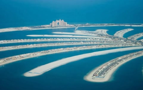 中国在迪拜沙漠试种海水稻的过程,中国在迪拜种植海水稻的有利条件