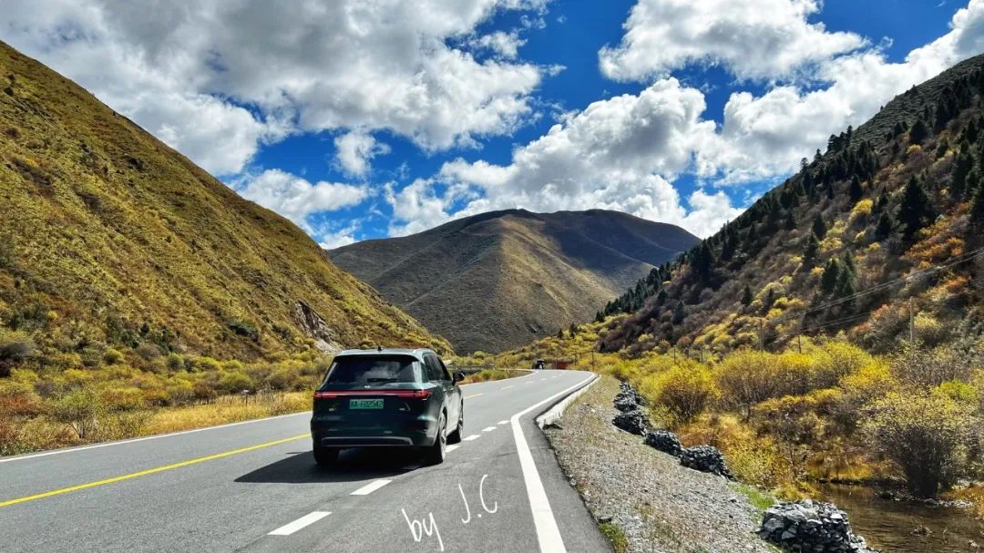 保时捷911targa和迈凯伦gt,保时捷911卡雷拉和911gt