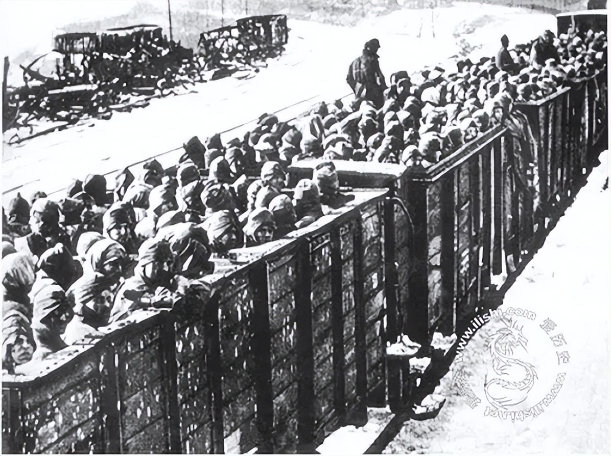 普京当年怎么征服车臣,普京当年是如何征服车臣的