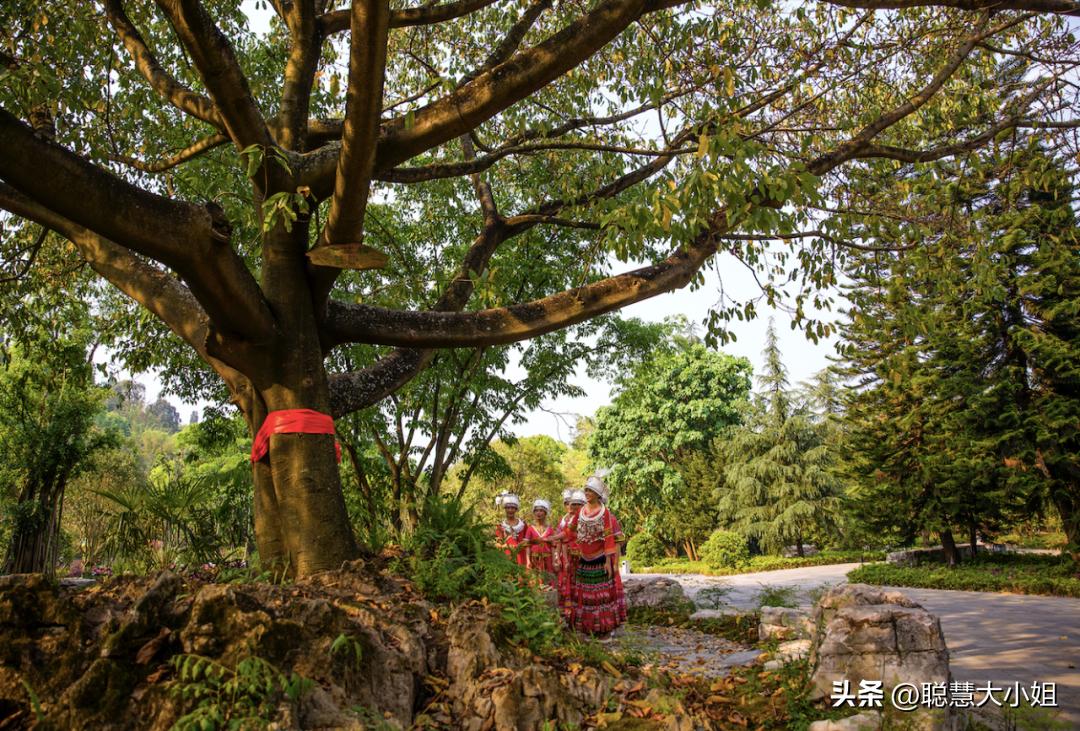 此生必住酒店,此生必住的酒店