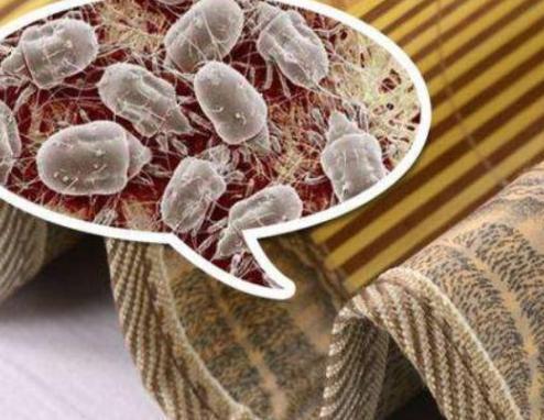 床上“螨虫成堆”？教你个土法子，家中放些它，螨虫“都跑光了”