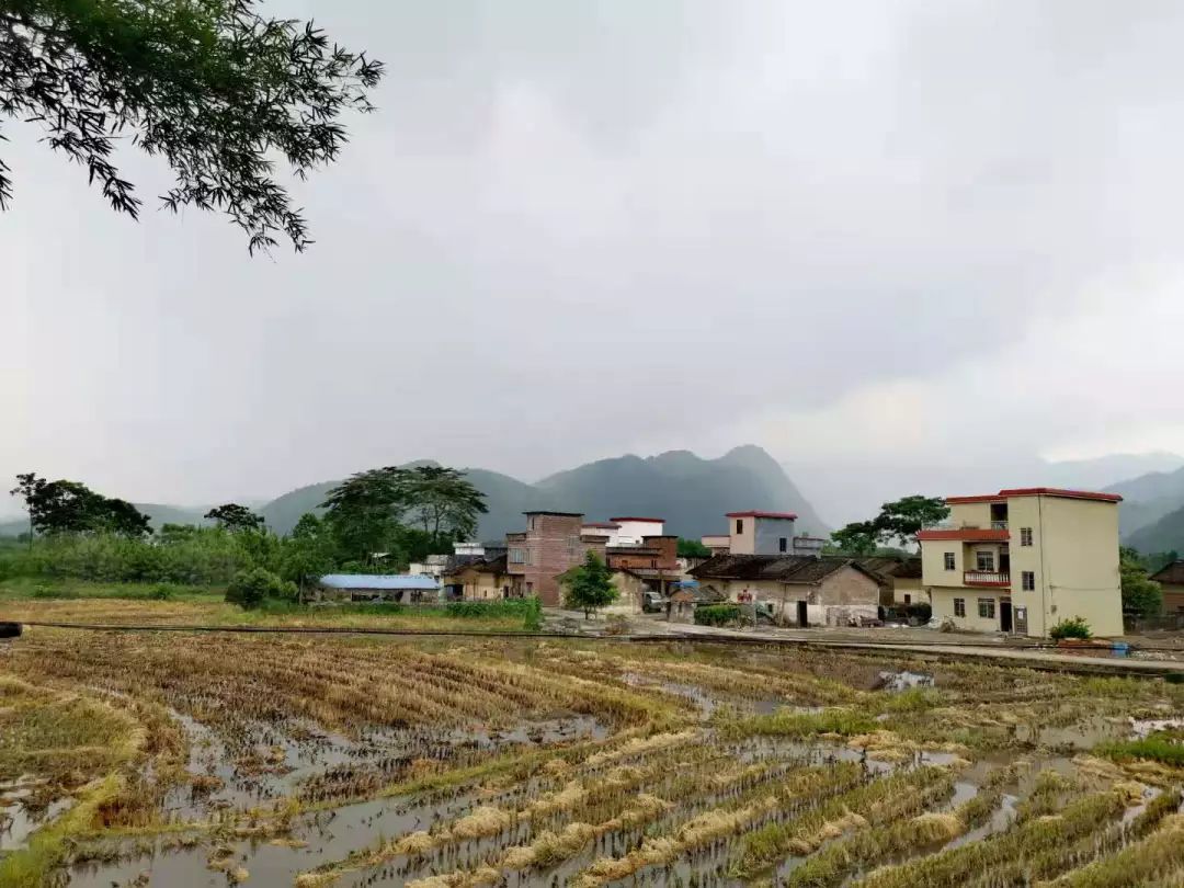 药店招聘营业员猫腻,药店营业员工资低为什么还有人做
