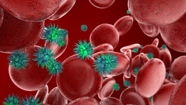 究竟有多少细菌生活在我们的身体里？