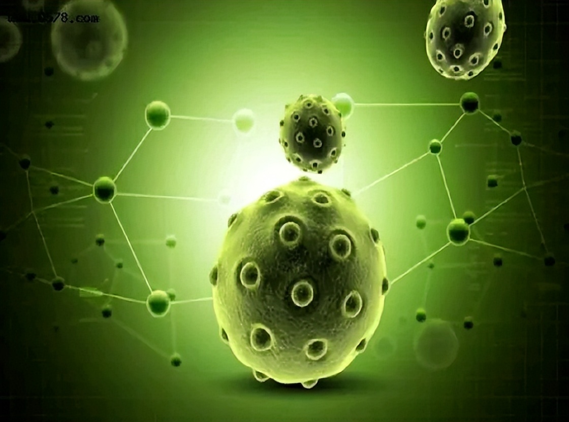 慢性炎症或可增加患癌风险，如何“消炎”？做好这7点