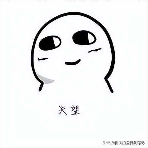 在网上买哪里的狗狗便宜又好,网上买的狗不到一个星期就病了