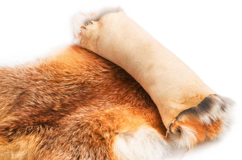 荒野猎人三,猎人3级潜行技能在哪学