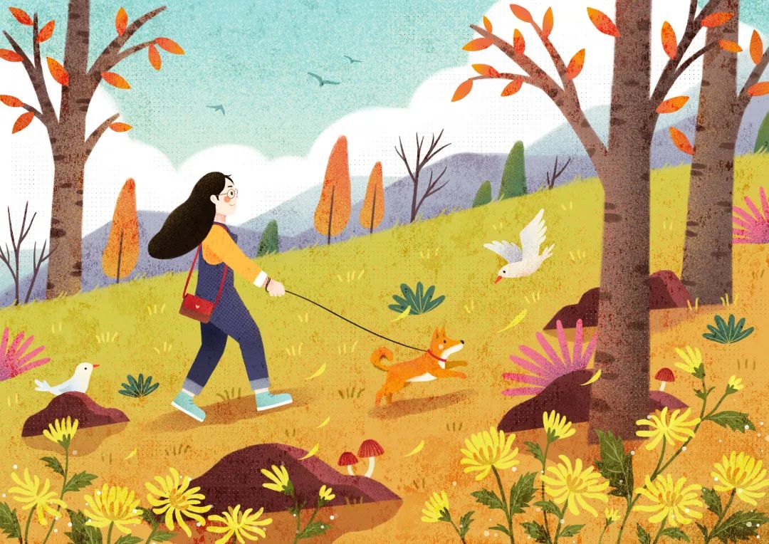 韩大米的狗生观或许可以有所借鉴