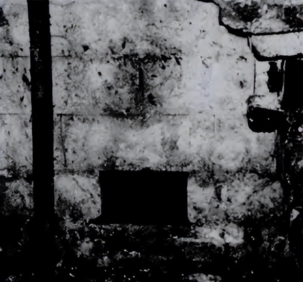 慈禧死后尸体为何不腐,慈禧遗体被扔棺外40天