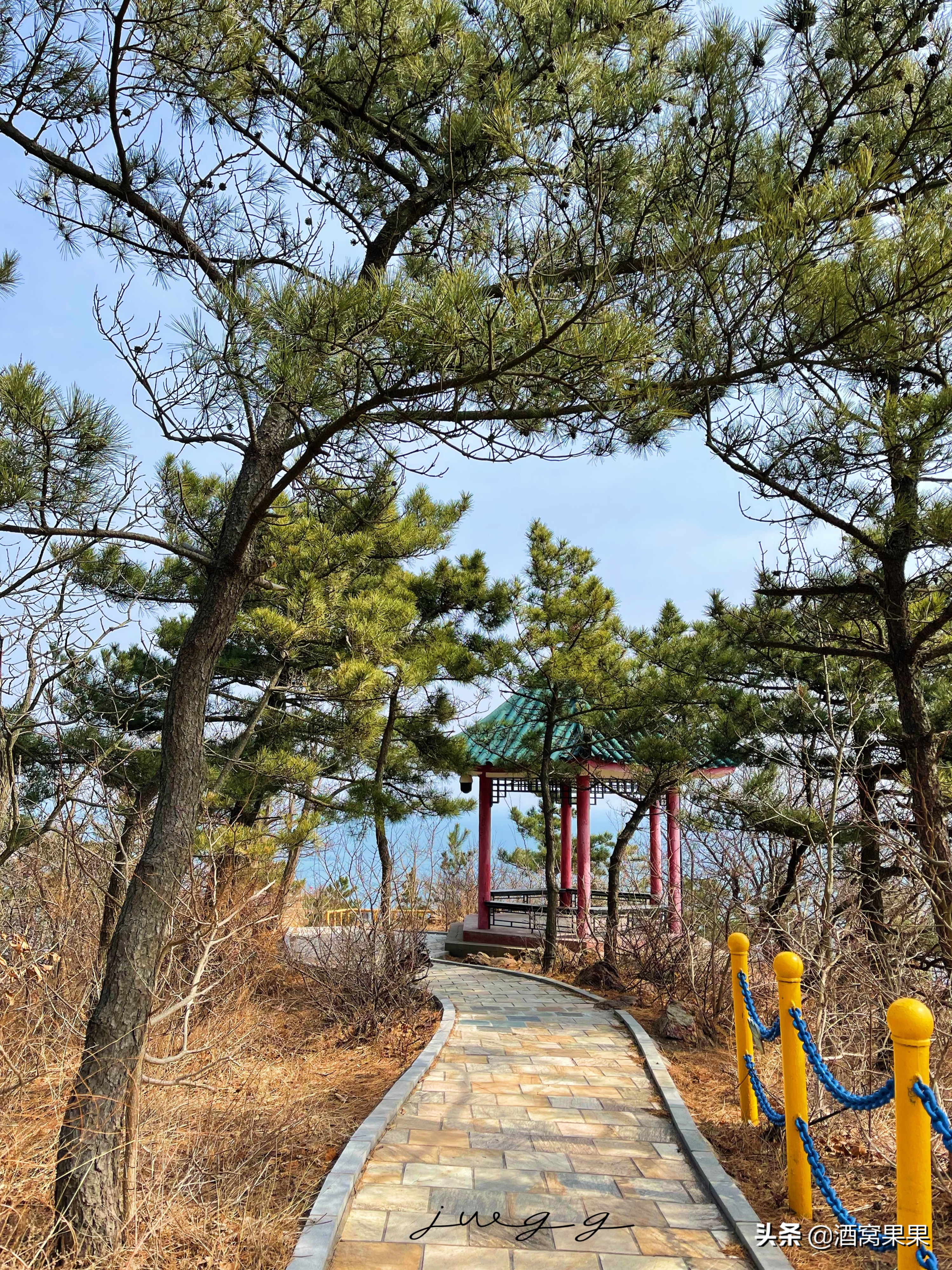 大连燕窝岭赶海时间表,大连免费赶海的燕窝岭