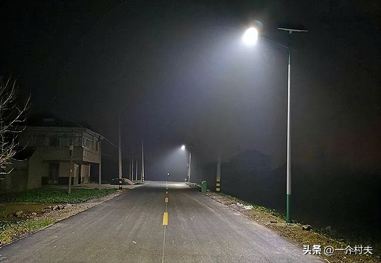 农村有哪些费用全免,农村四项免费政策