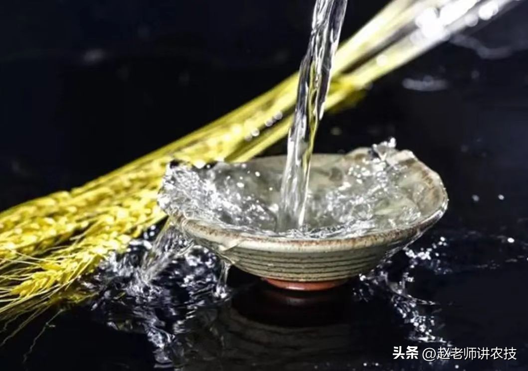 为什么不建议自己泡酒,怎么知道自己适合喝哪种泡酒