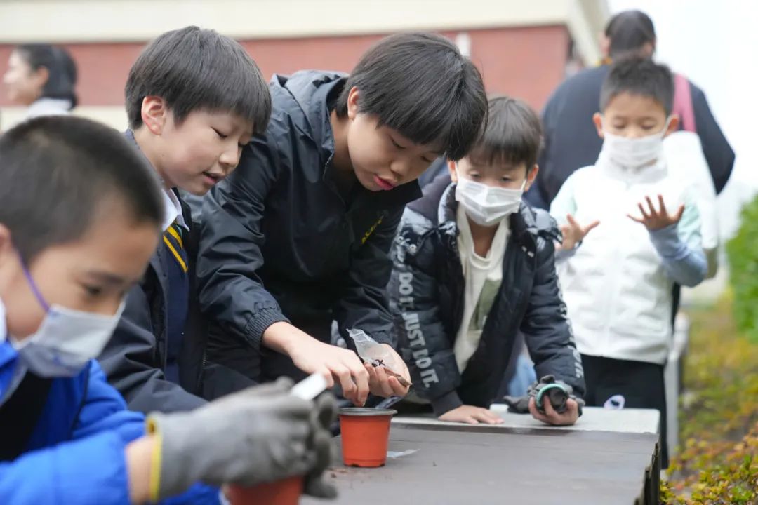 慈善的心态商业的手法,公益要用商业的手法