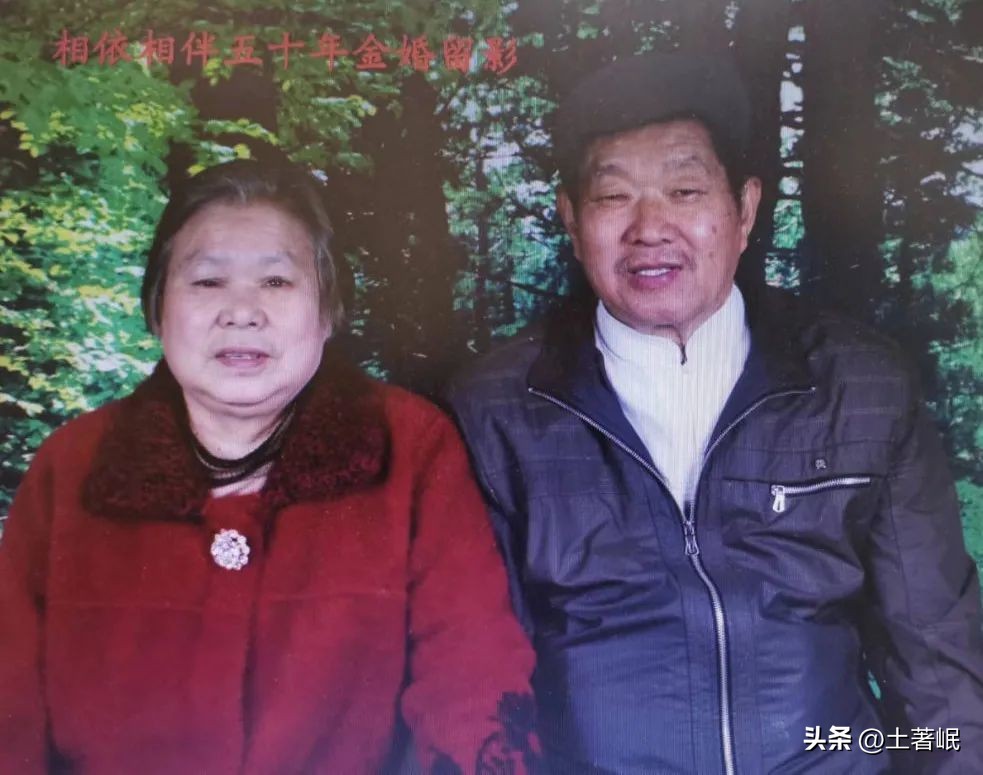 回老家双亲离去诗句,写给离别父母的一封信