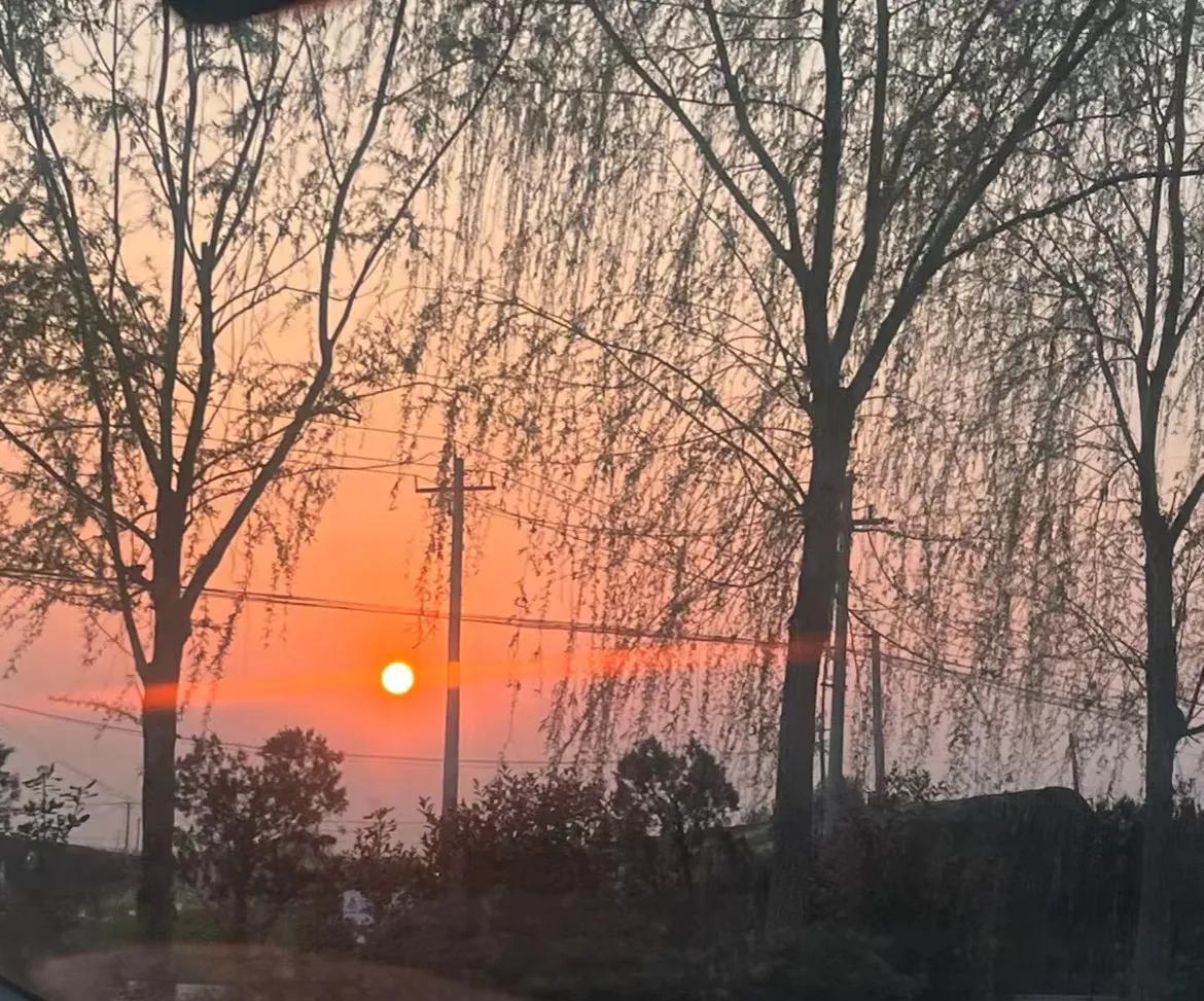 山东曹县为87名无名烈士寻亲找家,曹县孙智敏