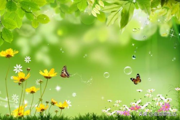 春季补脾吃什么食物好,春天吃甘甜食物有哪些