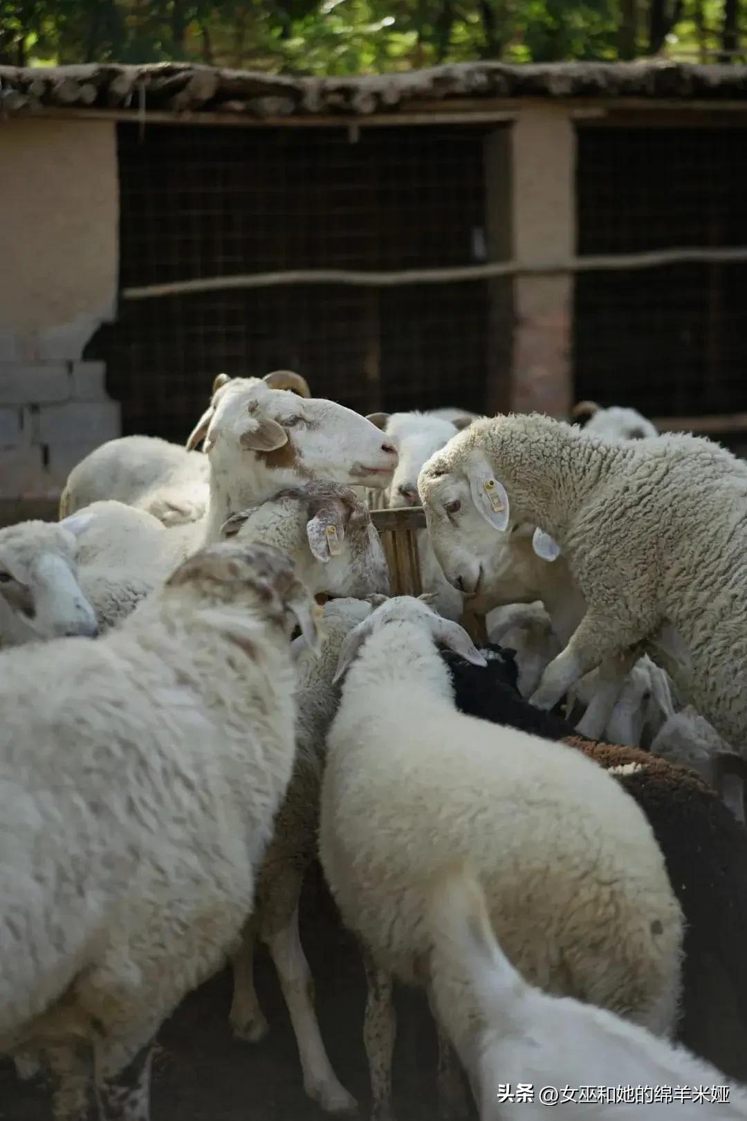 探索中卫／不止是旅行，也是生活