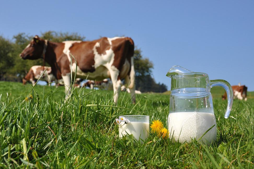 鐗涘墠鑳冨紱缂撴不鐤楀師鍒欐湁鍝簺,鐗涘墠鑳冨紱缂撹秺娌荤枟瓒婂樊涓哄暐