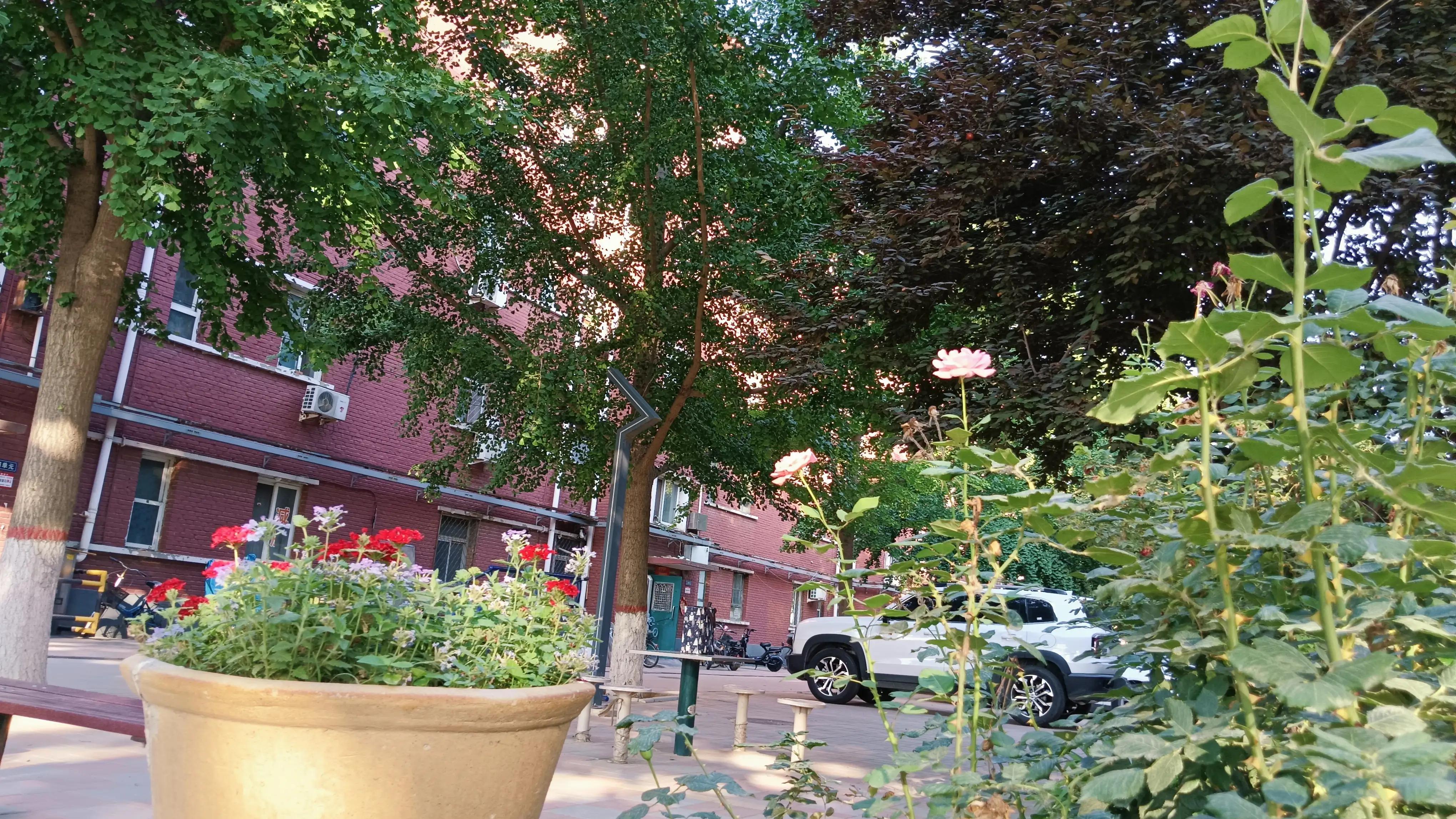 我56岁，退休后为爱离婚，每月2千工资，没钱没房，不知该如何过