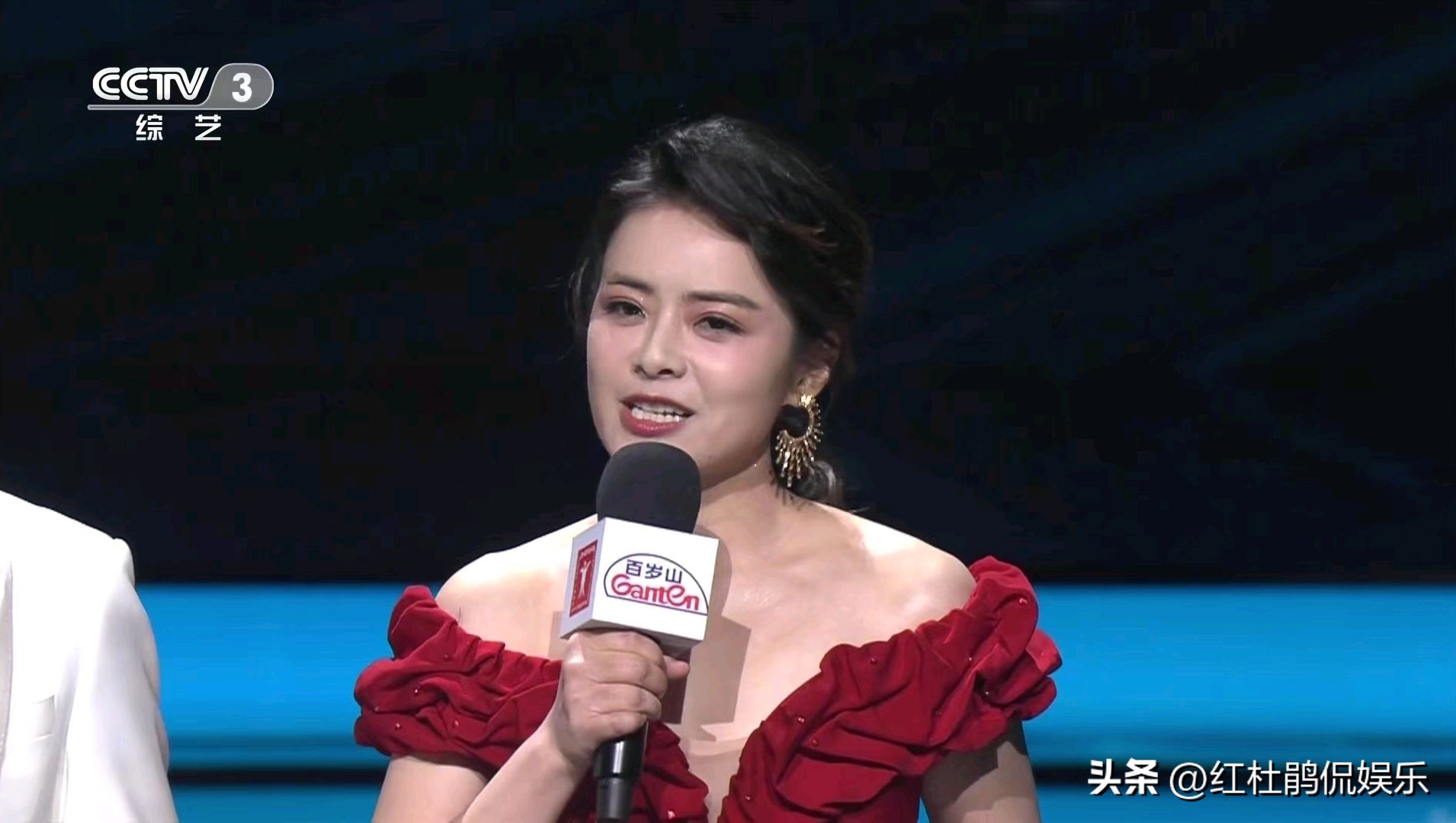 陈辰英文主持视频,陈辰张国立蓝羽