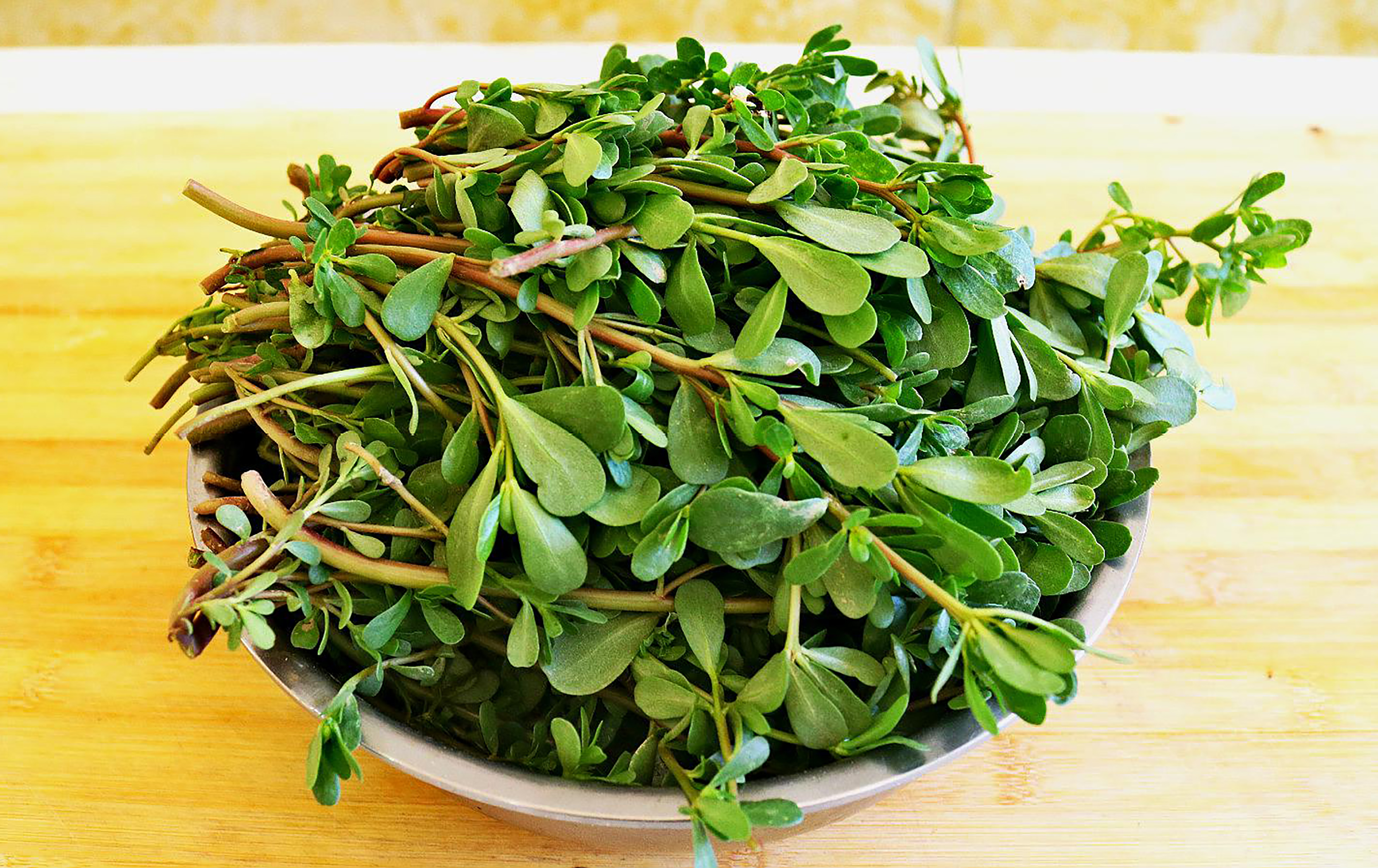 纯天然绿色食品马齿苋野菜美食,马齿苋是天然绿色食品