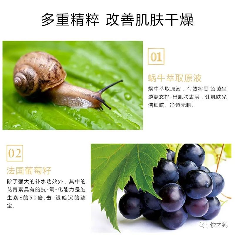 蜗牛原液是什么蜗牛提取的,蜗牛原液有几个系列