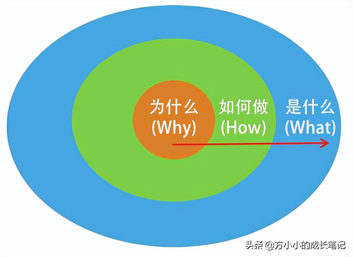 如何像天才一样思考和学习,如何深度分析一本书