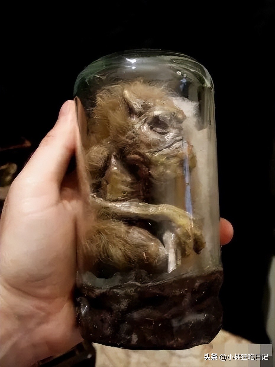 英国神秘生物博物馆,英国神秘生物