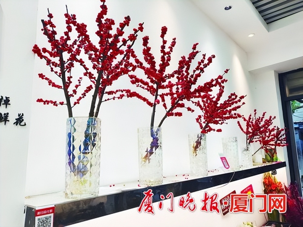 厦门新年花卉市场,厦门大型花卉市场有哪些