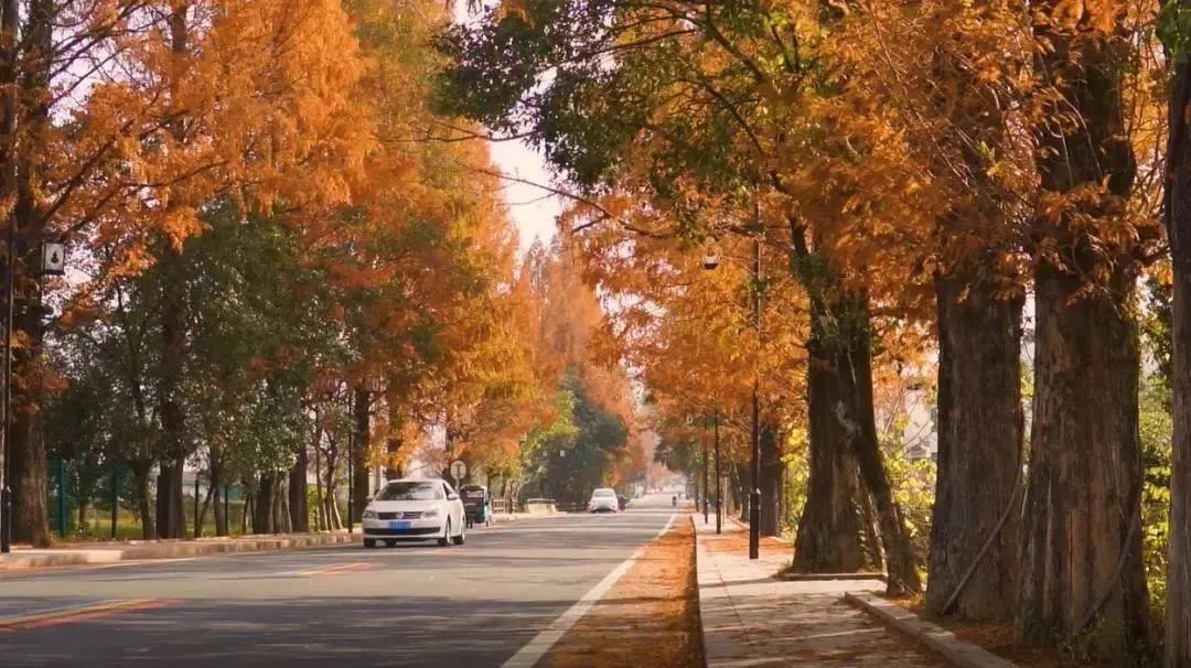 休宁的深秋美如开挂,短途旅行安徽旅游攻略大全