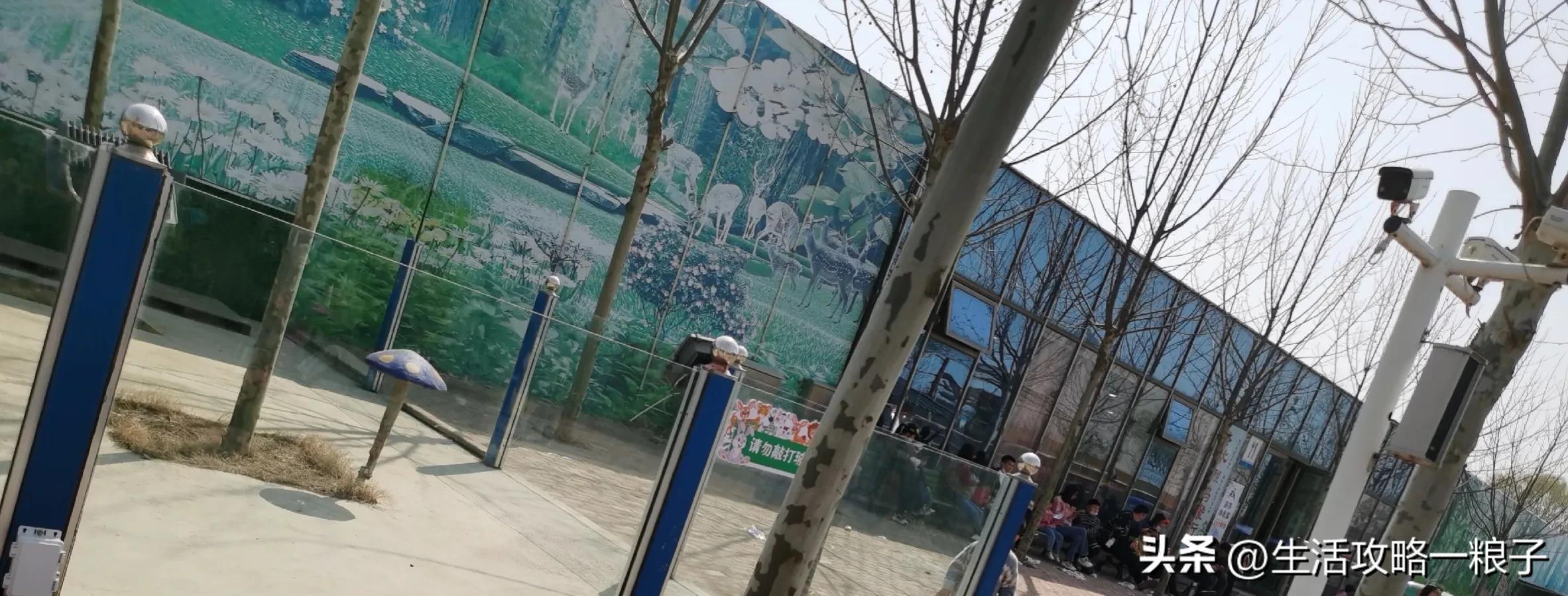 诸城动物园介绍多大面积,潍坊诸城动物园攻略