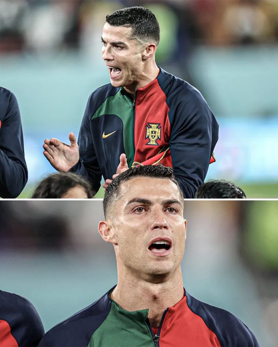 不知不觉，看小小罗18年了