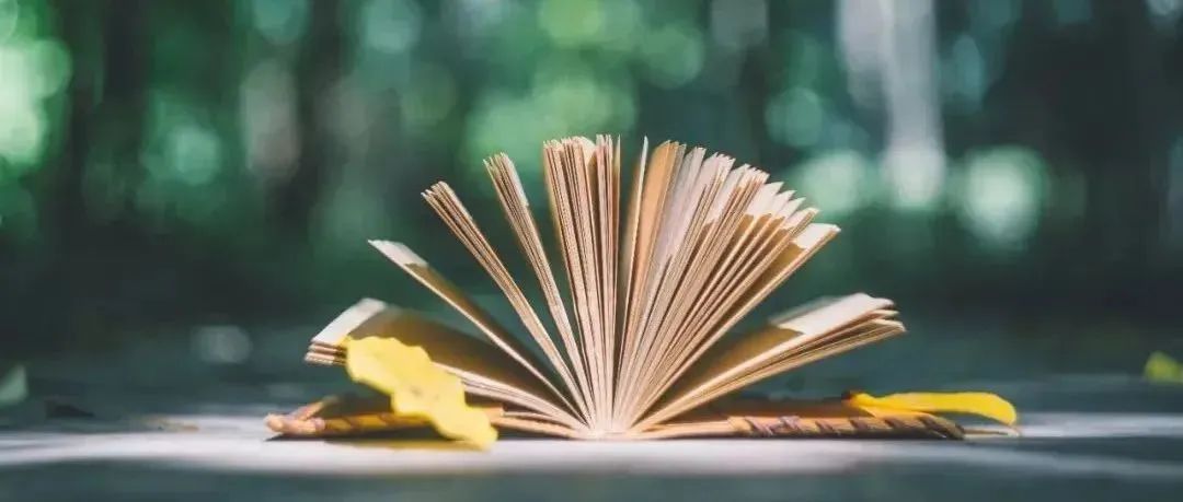 阳明先生的致良知思想,王阳明法治思想