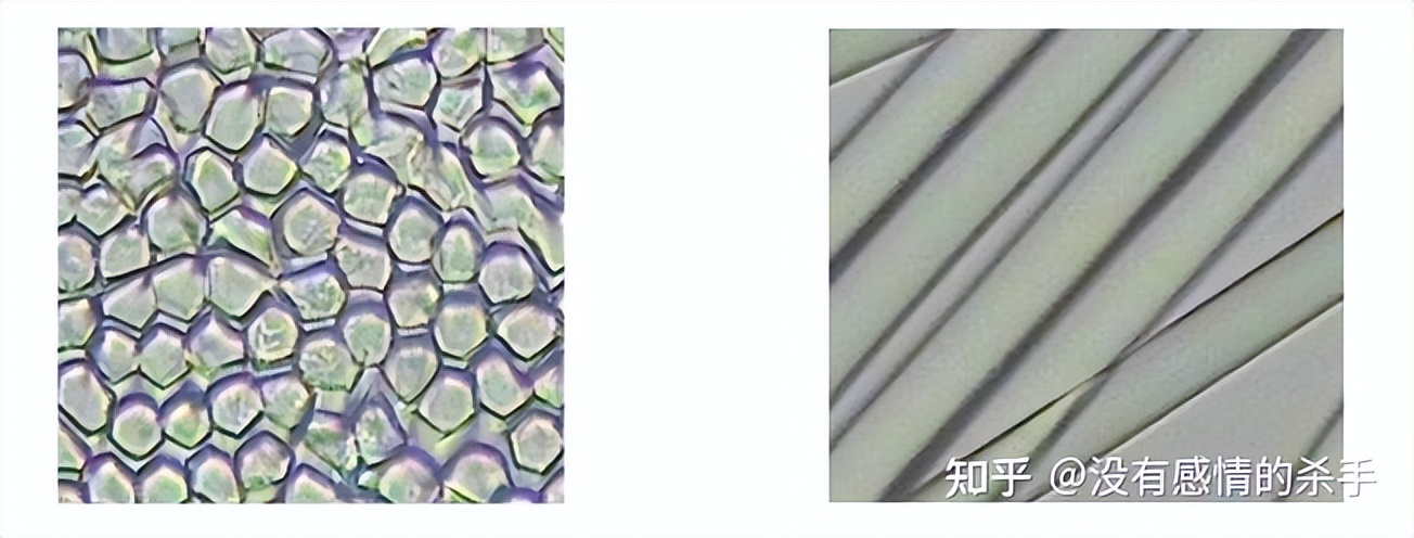 莱赛尔铜氨丝和粘胶纤维的区别,天丝莫代尔和莱赛尔纤维的区别