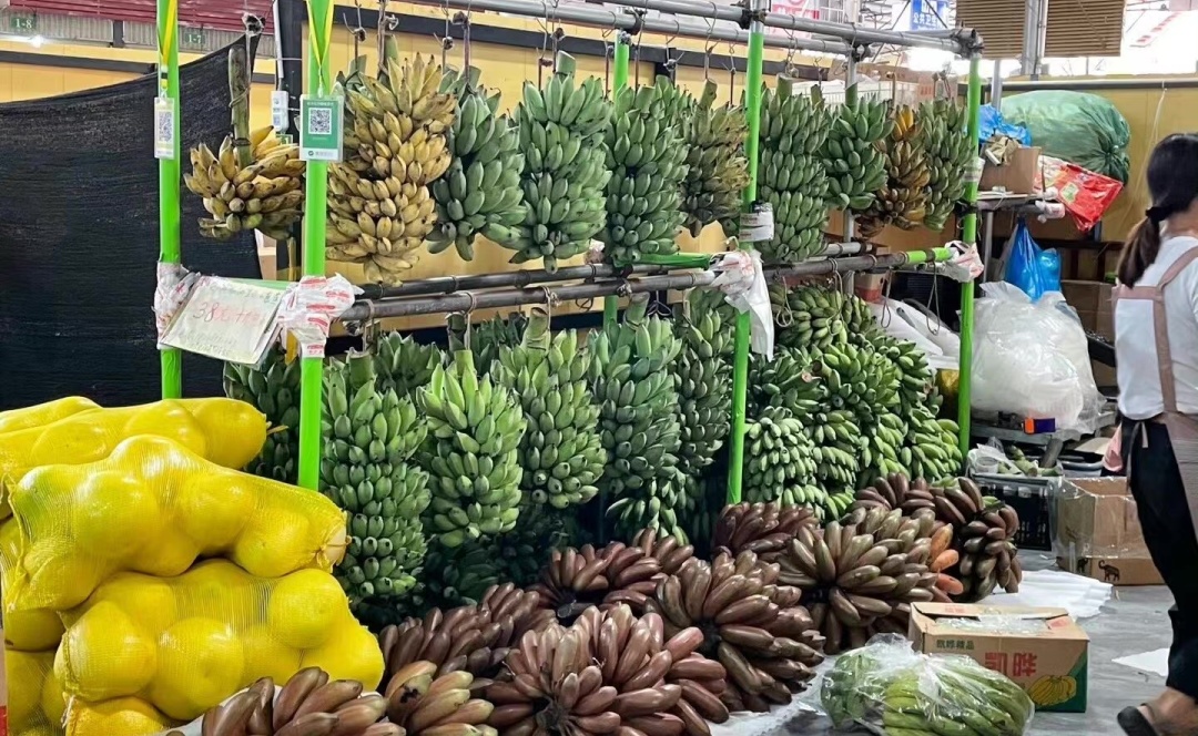 带你认识热带植物,带你认识水果