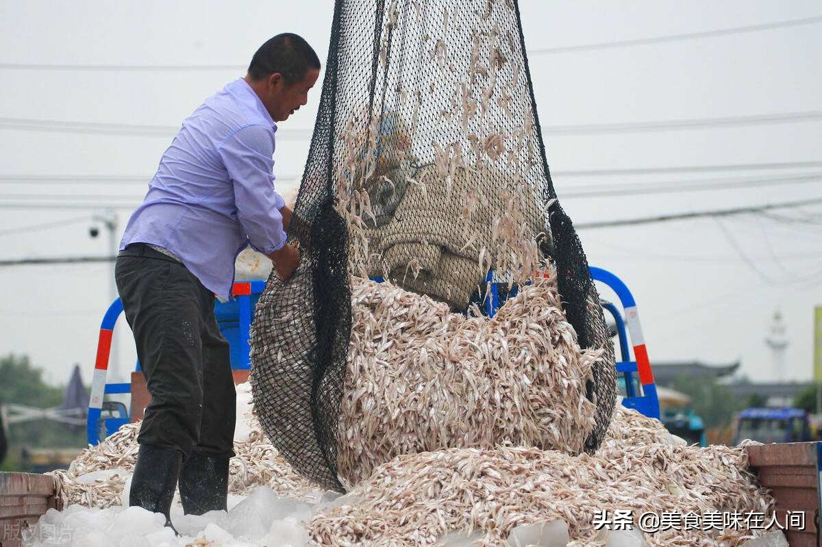 天价刀鱼,天价刀鱼怎么做