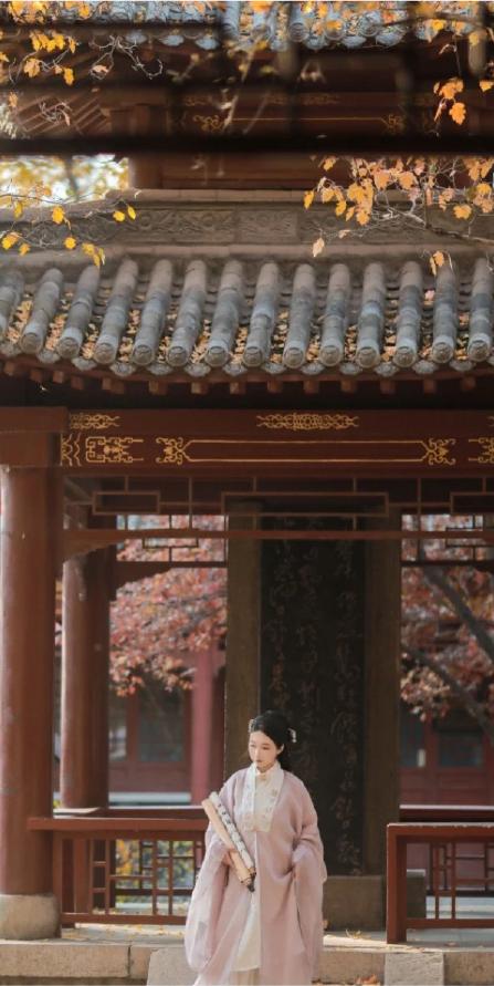 新春新气象壁纸,迎泽大街壁纸