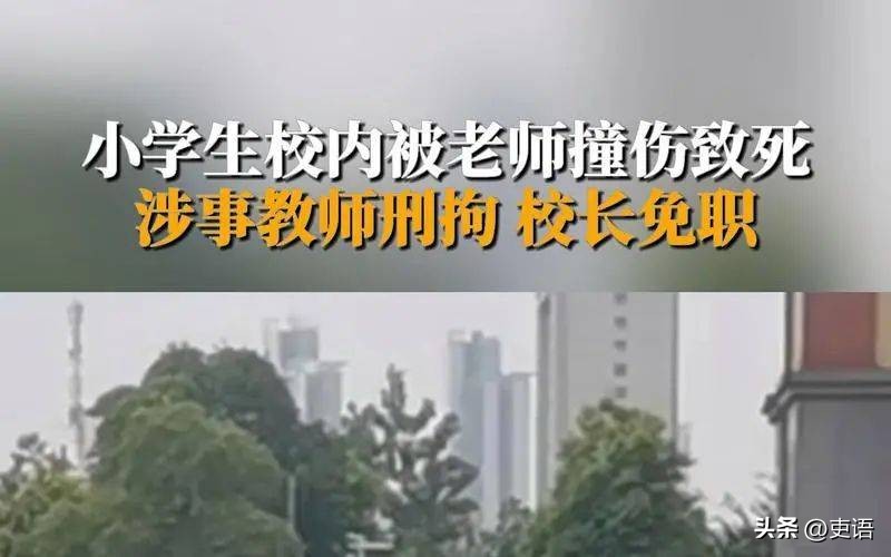 全国交通安全反思日由来,注意交通安全教案及反思