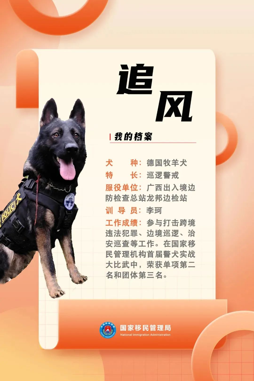 功勋犬天狼,功勋犬挑战不可能
