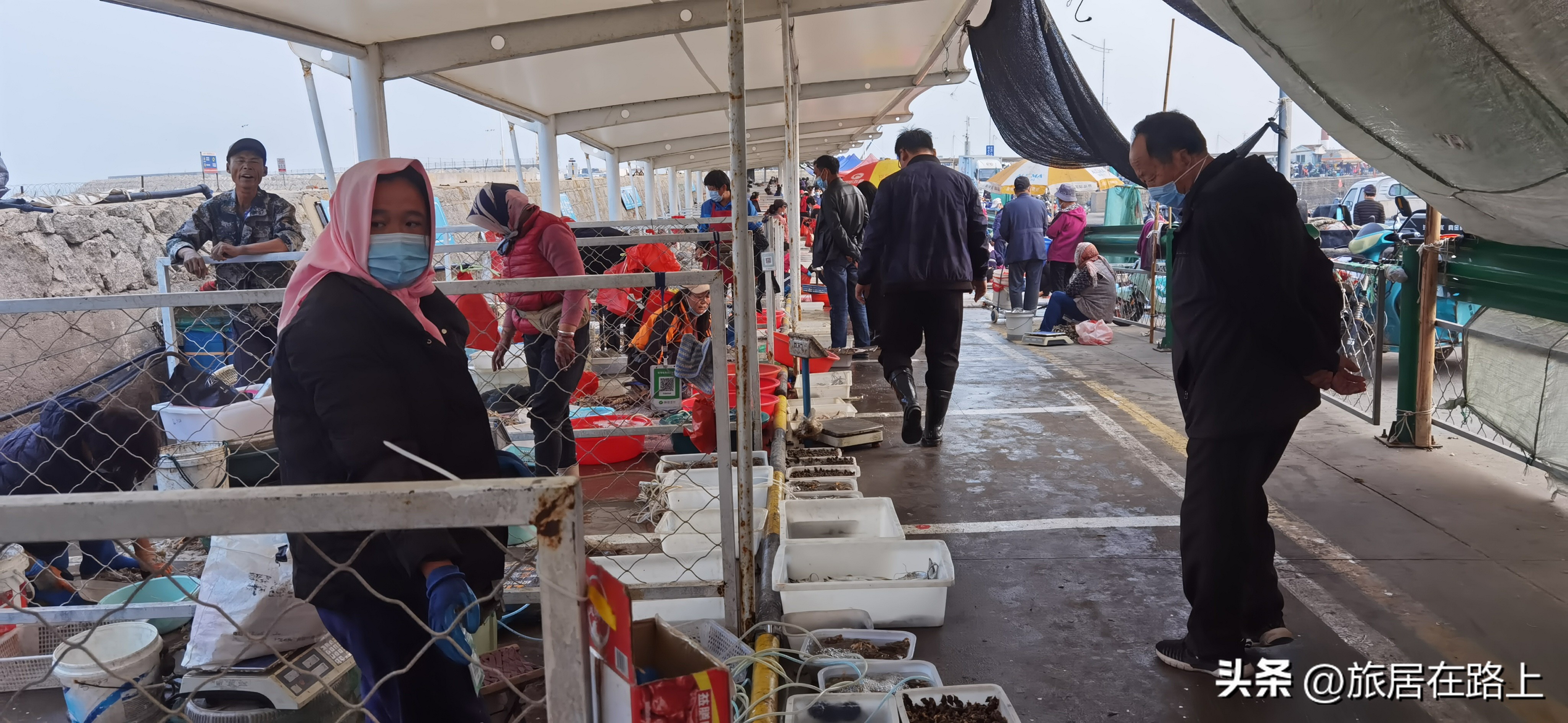 日照天气,日照直播