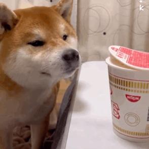 大多数教师使用的电子教鞭软件,教师神器软件推荐