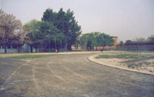 小学一年级足球第一堂课,小学生一堂完整的足球课