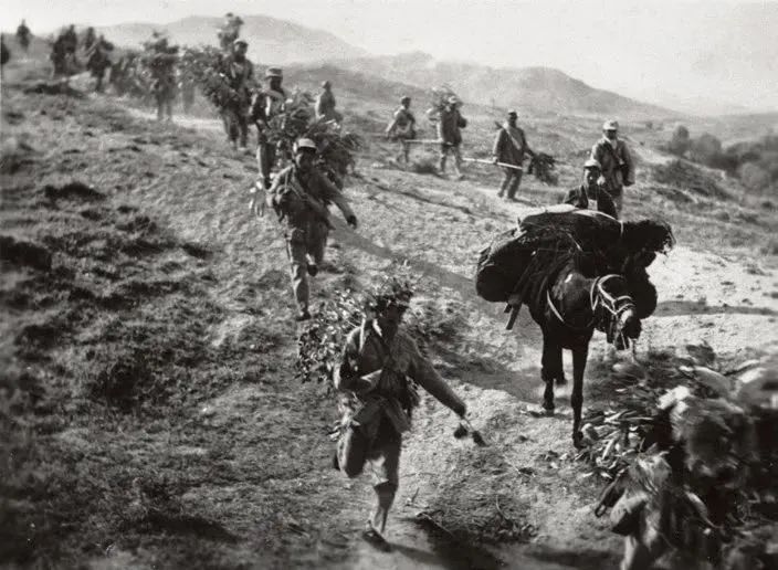 两种命运的决战：国民*党**为何会失去中国大陆?