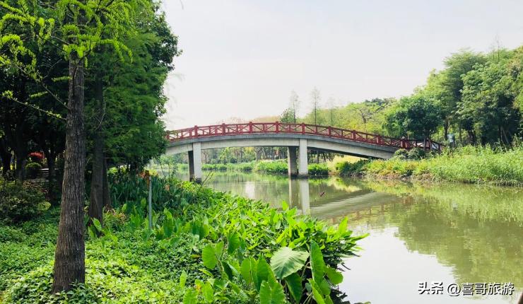 广州荔湾区旅游攻略自助游,广州荔湾景区推荐游玩路线有哪些