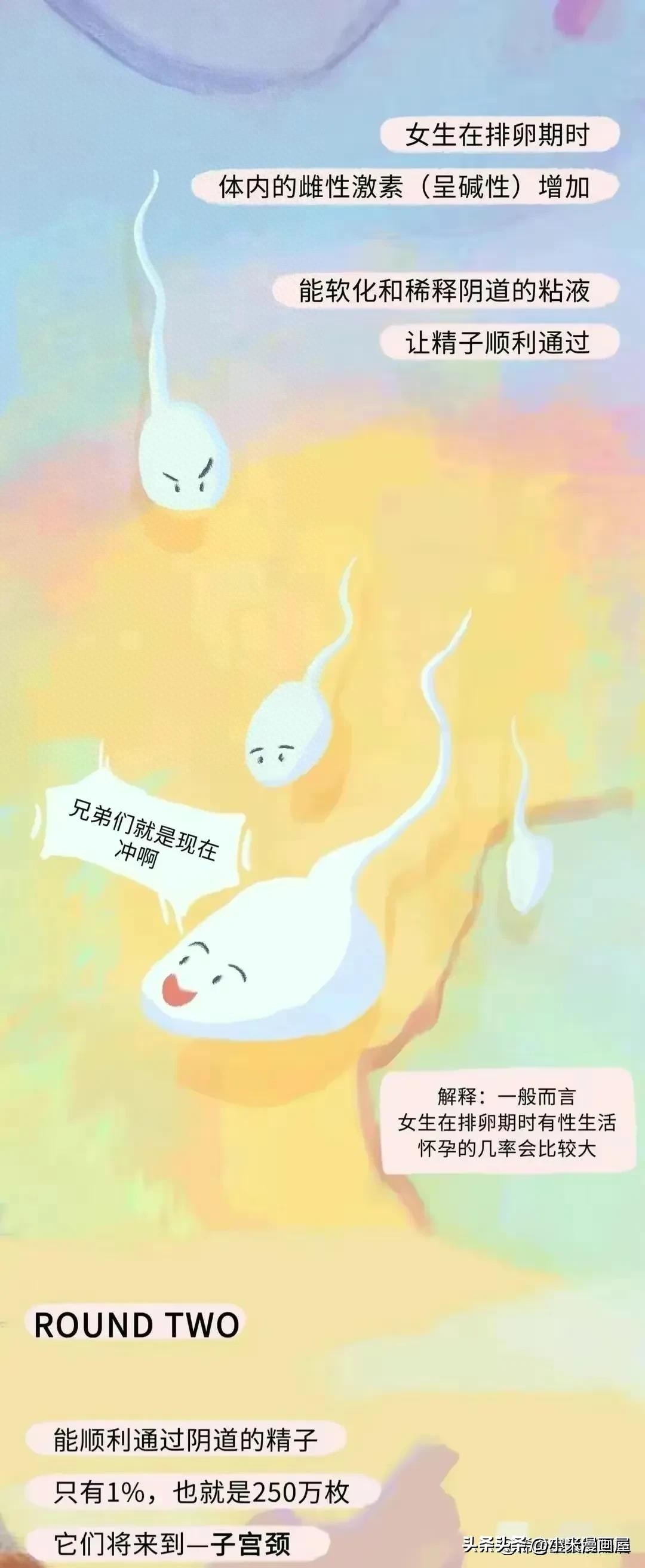 小蝌蚪找妈妈故事完整漫画,漫画中小蝌蚪是什么