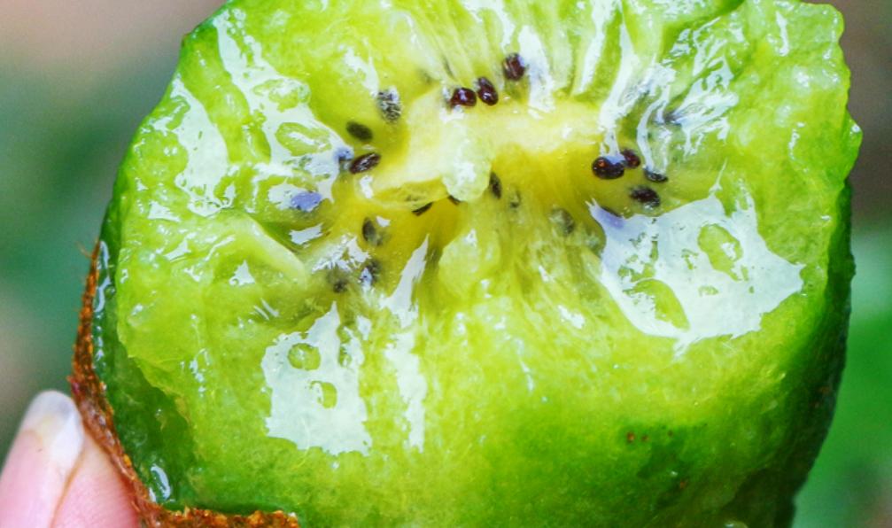 嗓子疼咳嗽吃什么水果最快最有效,利咽润喉最佳水果是什么